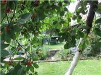 a989d91d-Picture 779.jpg